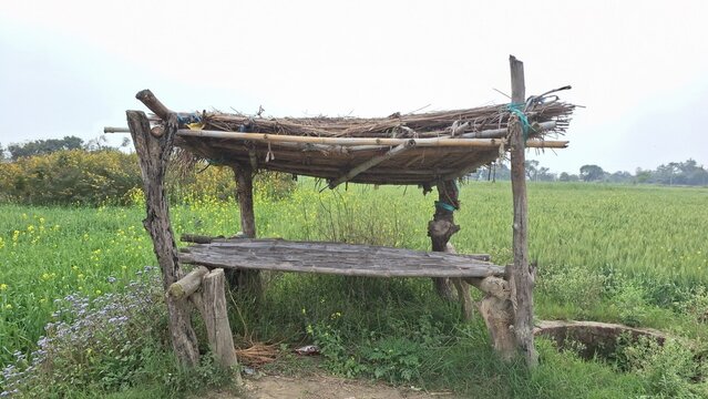 Machan, Indian Village,  Farming 