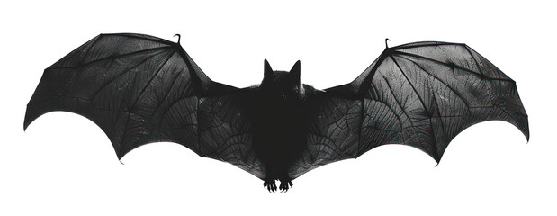 Stylized black bat silhouette with spread wings, cut out - stock png.