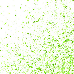 Green Confetti Celebration