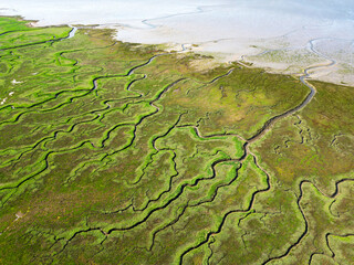 Aerial view of channels and gullies, Seaftinge, Holland - 749622204