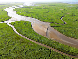 Aerial view of channels and gullies, Seaftinge, Holland - 749622472