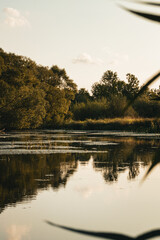 Fototapeta na wymiar A river in the countryside in Ukraine