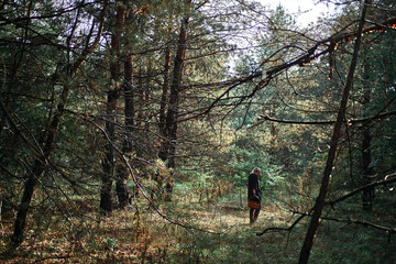 Mushroom picking. Serene forest scene with person standing amidst tall trees. Sunlight filters through leaves creating tranquil atmosphere.