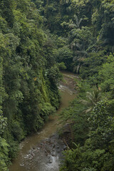 Top view of a dirty mountain river flowing in the jungle.