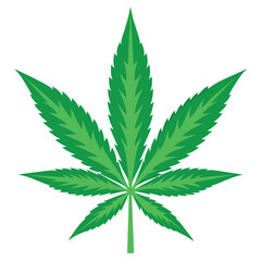 Green marijuana leaf vector illustration and artwork