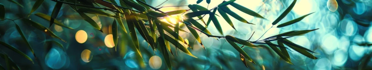 Fototapeten Close Up of Bamboo Plant With Blurry Background © BrandwayArt