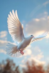 Obraz premium White Bird Soaring in Blue Sky