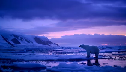 Tableaux ronds sur aluminium Bleu foncé A solitary polar bear walks across the ice under the twilight Arctic sky