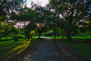 Obraz premium Verano en el parque
