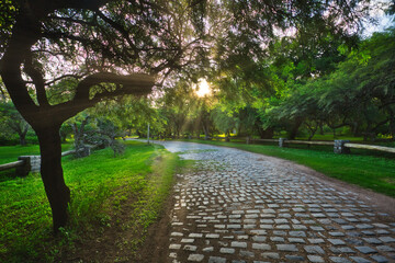Verano en el parque