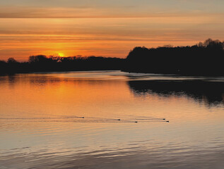 Enten ziehen bei Sonnenuntergang über ein ruhiges Gewässer