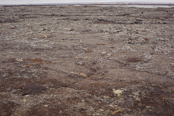 Iceland - volcanic cone, moss and lichens near the white lighthouse of Londrangar. 