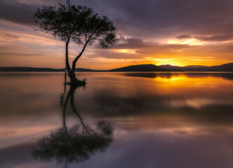 Fototapeta premium sunset over the lake