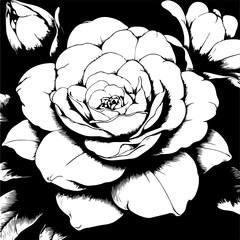 Peony flower black outline vector illustration. Coloring book.
