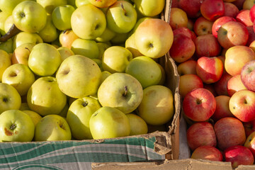 golden delicious and gala apples in boxes at a fruit vendor in the city