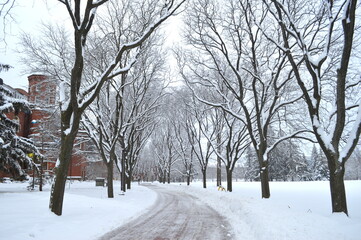 Winter in the park, Guelph, Canada
