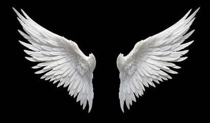 Angelic White Feathered Wings Isolated on Black - obrazy, fototapety, plakaty