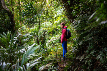 hiker girl with backpack walking through unique dense tropical rainforest in australia, albert...