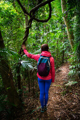 hiker girl bonding with nature in tropical rainforest in australia, albert river cirquit; gondwana rainforest in lamington national park, queensland, near brisbane and gold coast