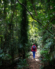 hiker girl with backpack walking through unique dense tropical rainforest in australia, albert...