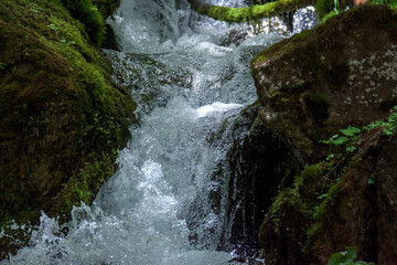 Naklejka premium waterfall in the forest