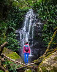 hiker woman admiring tropical waterfall in australian rainforest; hiking albert river circuit in...