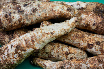 closeup of taro root vegetable, eddo malanga, green background