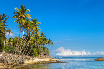 Beach in Sri Lanka - 749647052