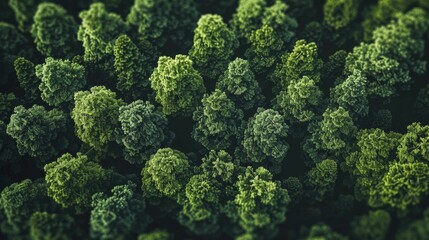 The environmental impact of blockchain technology, Evergreen concerns and seasonal initiatives to promote sustainability in mining practices.