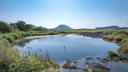 Fototapeta na wymiar Jeju 1100 It is scenery of Koji wetland.