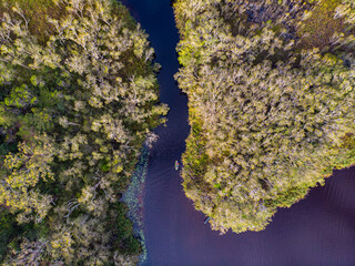 aerial view of adventurous girl paddling on an inflatable kayak through unique noosa everglades;...