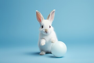 small white rabbit with blue ball pet pictures, in the style of pastel colors, toyen, nikon af600, light crimson and sky-blue, eastern brushwork, kurzgesagt, hatching