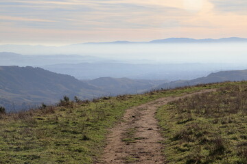 Haze in the East Bay valleys as seen from the trails at Las Trampas Wilderness
