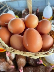 eggs in a basket