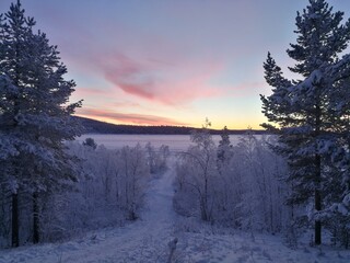 Winter in Lapland