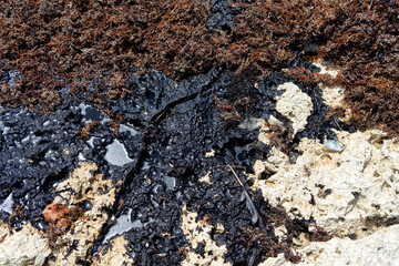 Oil patches washed ashore. Ships oil can be a hazard for marine life and nature of not cleaned up or contained. Cleaning is a lot of hard work.