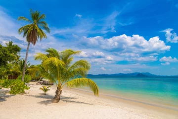 Cercles muraux Bora Bora, Polynésie française Single palm tree on beach