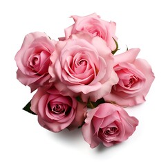 pink rose flower bouquet isolated on white background cutout.
