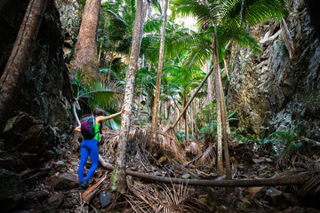 back view of hiker woman scrambling through palm grove in a gorge; trail to the top of mount greville near brisbane in australia, queensland