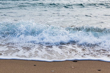 波打ち際