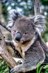 Hobart, Australia