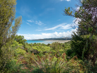 Fototapeta na wymiar Marahau : Abel Tasman National Park stunning coastal landscape of featuring golden beaches, crystal-clear waters, and lush native bush