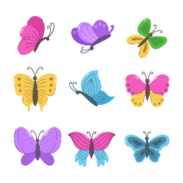 Butterfly hand drawn vector illustration