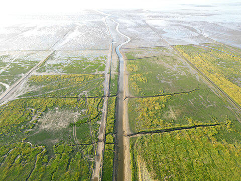 Aerial view of tidal channels and gullies, Waddenzee, Holland