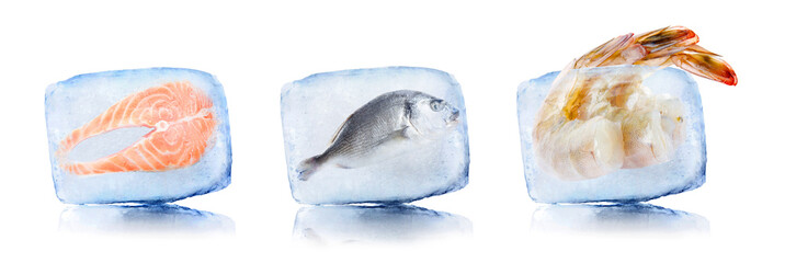 Frozen food. Different seafood in ice cubes isolated on white, set
