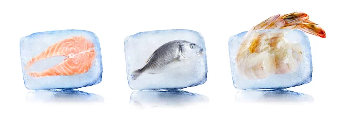 Fotobehang Frozen food. Different seafood in ice cubes isolated on white, set © New Africa