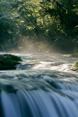 熊本 菊池渓谷 光芒