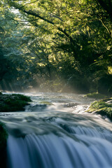 熊本 菊池渓谷 光芒