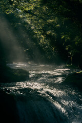 熊本 菊池渓谷 光芒