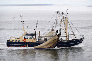 Fishing boat, Waddenzee, The Netherlands - 749672036